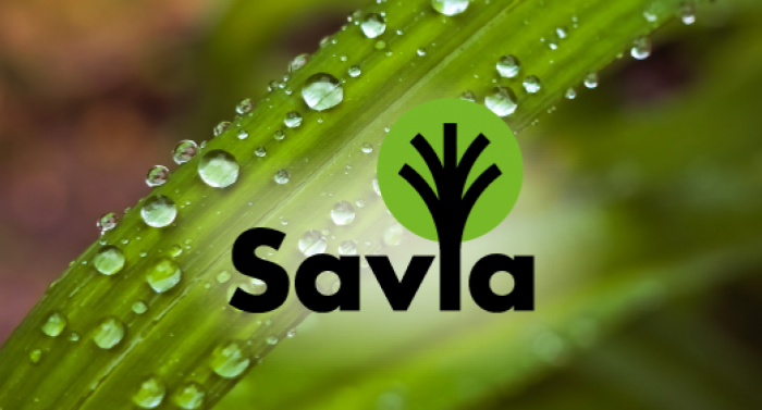 Savia