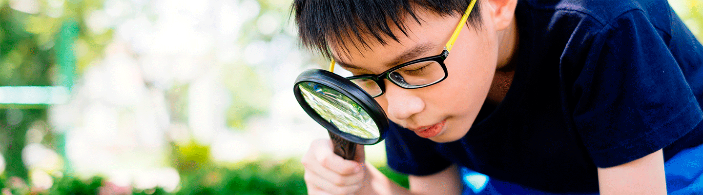 Aprendo con Proyectos