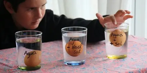 Aprender con las manos: el poder de la experiencia