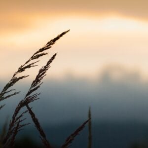 Acompañamiento Pastoral para ESO y Bachillerato