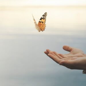 Claves pedagógicas y curriculares de LOMLOE para la ERE