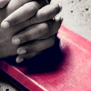 Pastoral escolar en relación con la persona