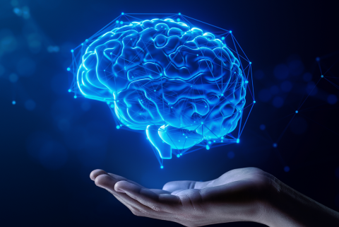 La importancia de la plasticidad cerebral en nuestros alumnos