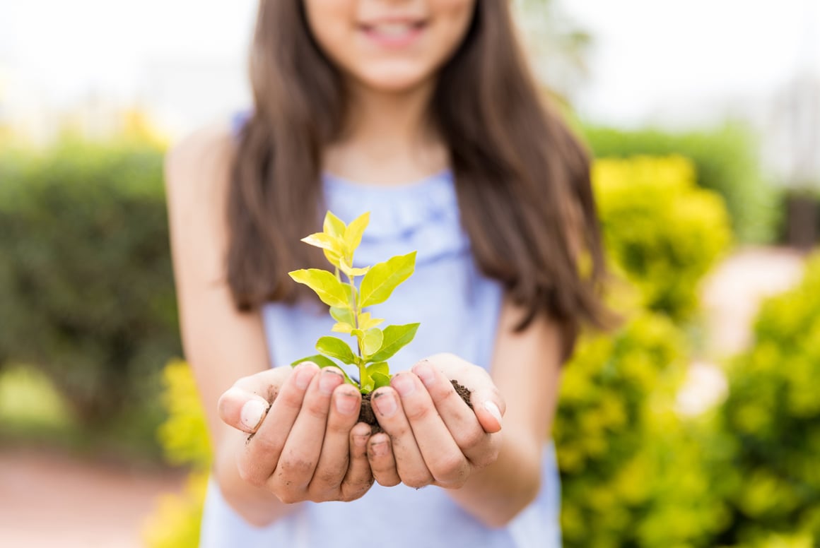 La Percepción del Talento en la Educación Básica: Implicaciones para la vida académica y el futuro laboral
