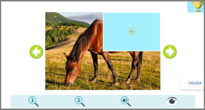Imagen de un caballo en una actividad interactiva