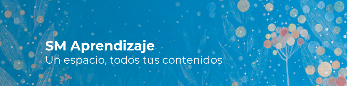 SM Aprendizaje